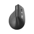 Rapoo EV310M Mouse