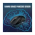 Rapoo V300SE Black Wireless (Dual Mode) Gaming Mouse #12401
